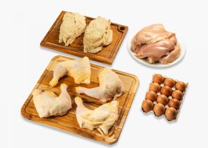 Pollo Fans
